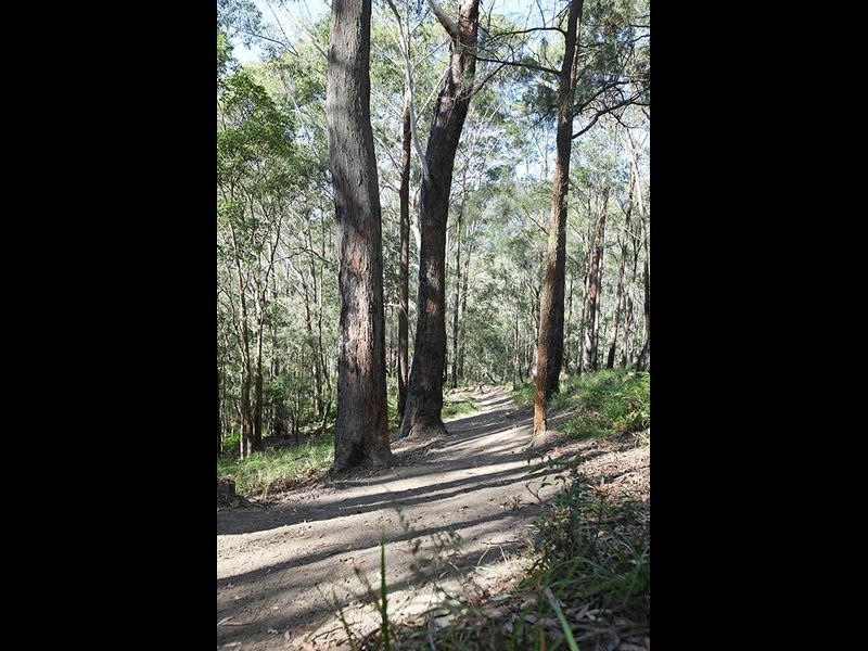 Lot 9 Clothiers Creek Road, Cabarita Beach NSW 2488