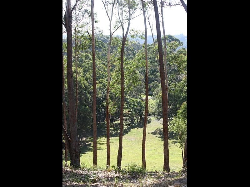 Lot 9 Clothiers Creek Road, Cabarita Beach NSW 2488