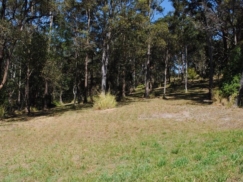 Lot 10 Tanglewood Drive, Tanglewood NSW 2488
