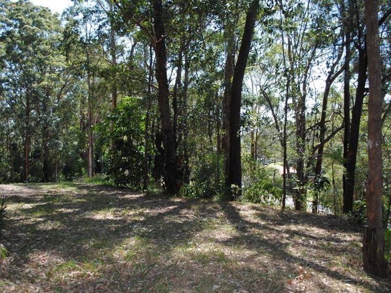 Lot 10 Tanglewood Drive, Tanglewood NSW 2488