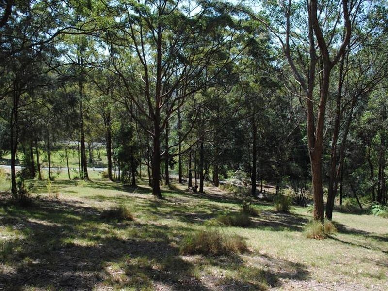 Lot 10 Tanglewood Drive, Tanglewood NSW 2488