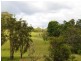 521 Round Mountain  Road, Round Mountain NSW 2484