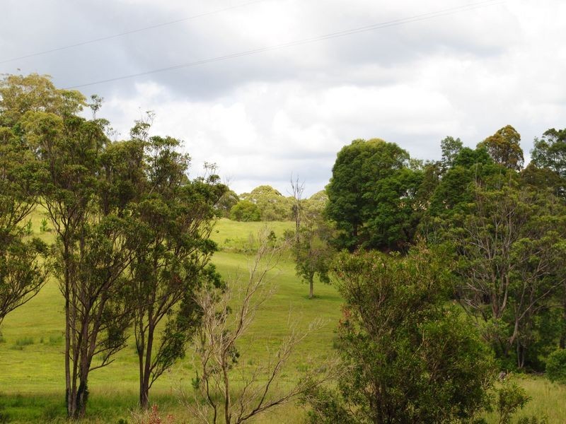 521 Round Mountain  Road, Round Mountain NSW 2484