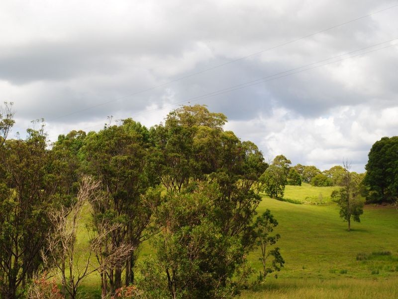 521 Round Mountain  Road, Round Mountain NSW 2484