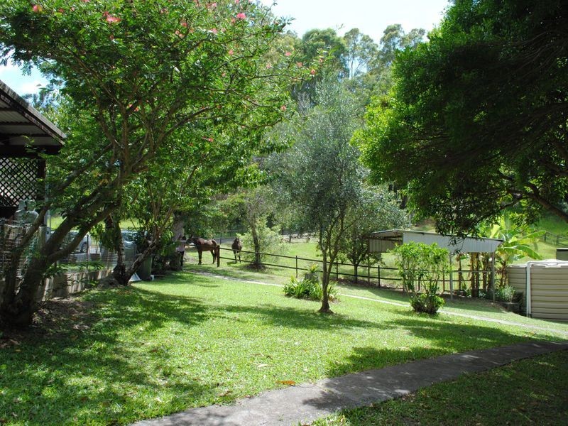 521 Round Mountain  Road, Round Mountain NSW 2484