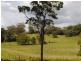 521 Round Mountain  Road, Round Mountain NSW 2484