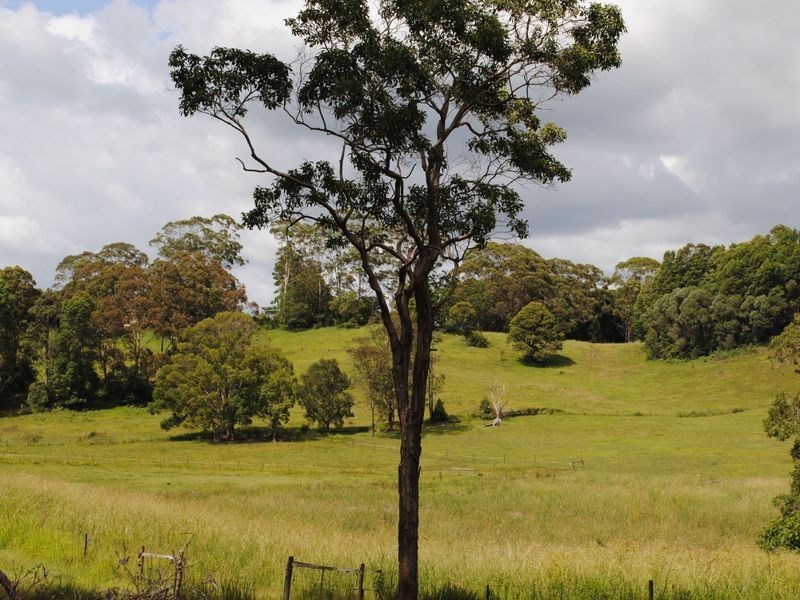 521 Round Mountain  Road, Round Mountain NSW 2484