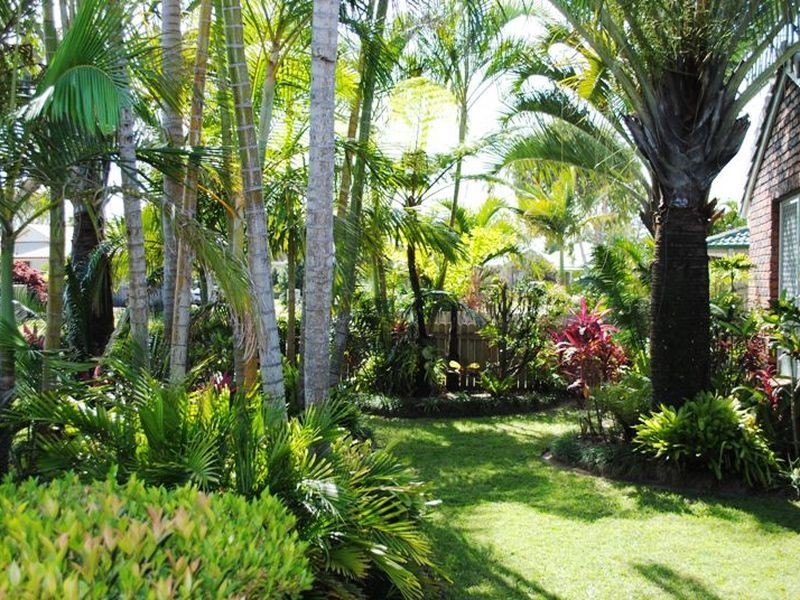 56 Grass Tree Circuit, Cabarita Beach NSW 2488