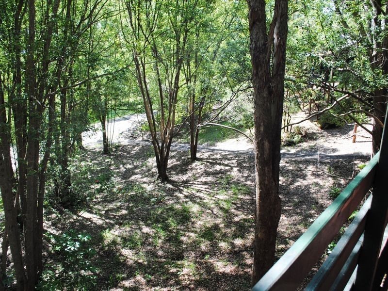 6/13 Tanglewood Drive, Tanglewood NSW 2488