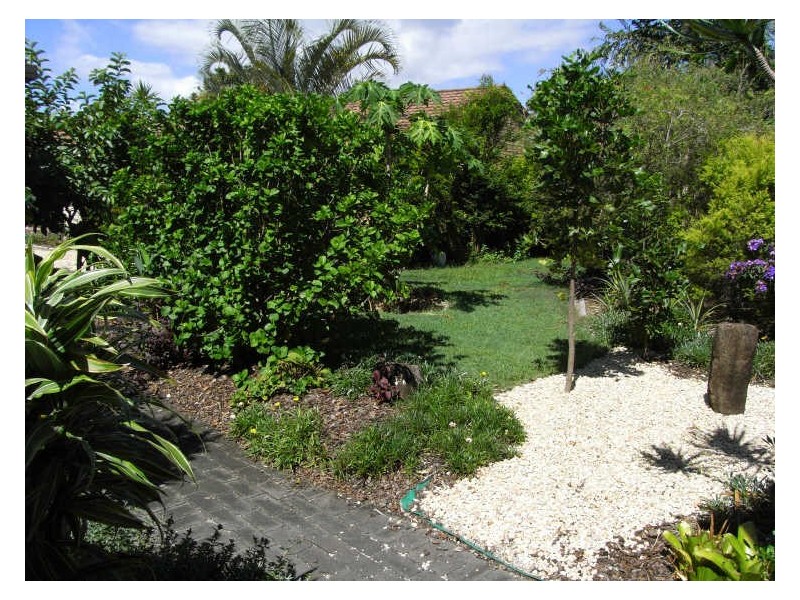 4/29 Cassidy Crescent, Cabarita Beach NSW 2488