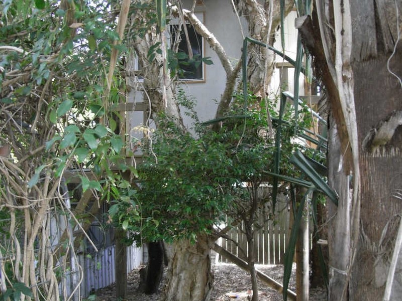 32 Sandalwood Drive, Cabarita Beach NSW 2488