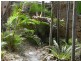 32 Sandalwood Drive, Cabarita Beach NSW 2488