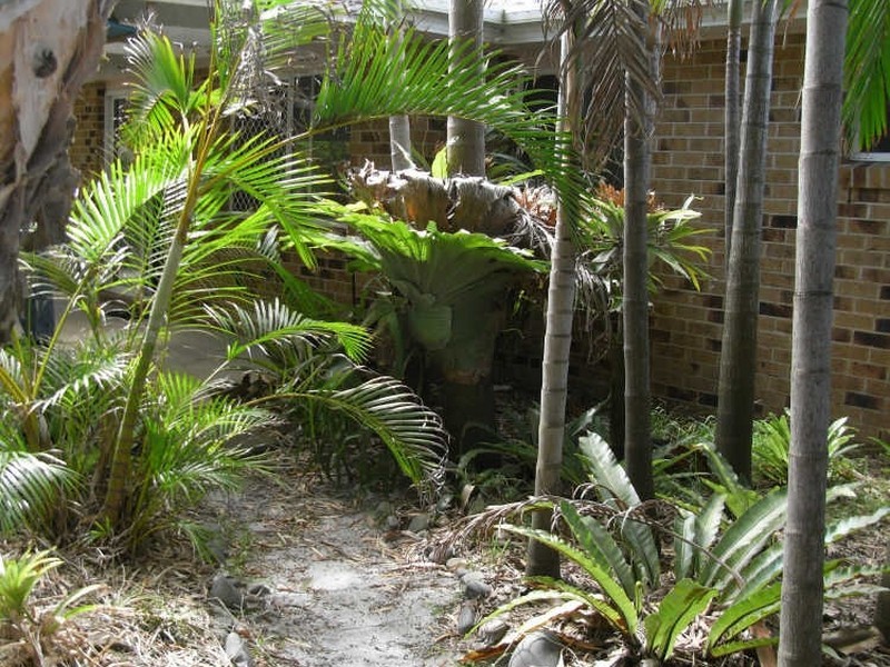 32 Sandalwood Drive, Cabarita Beach NSW 2488