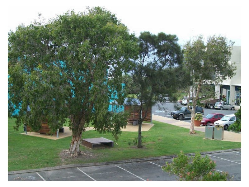 1/38 Tweed Coast Road, Cabarita Beach NSW 2488