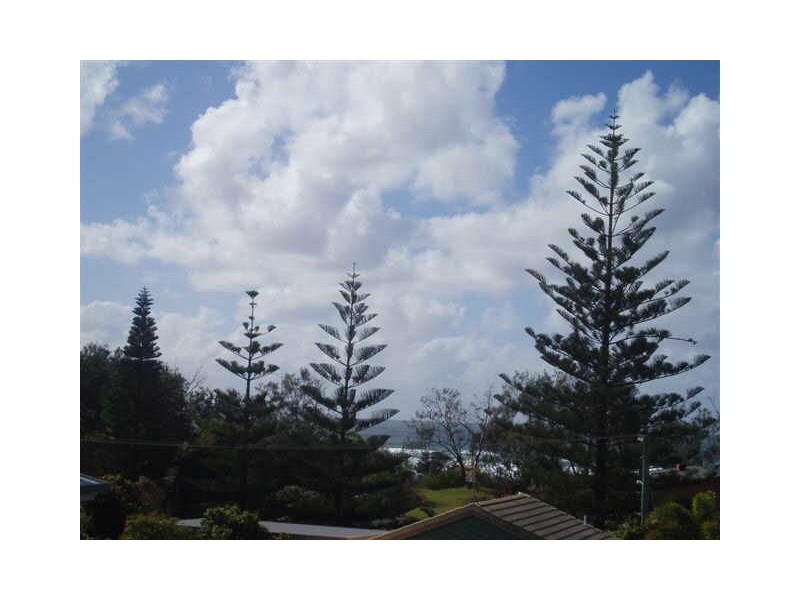 2/16 Tweed Coast Road, Cabarita Beach NSW 2488