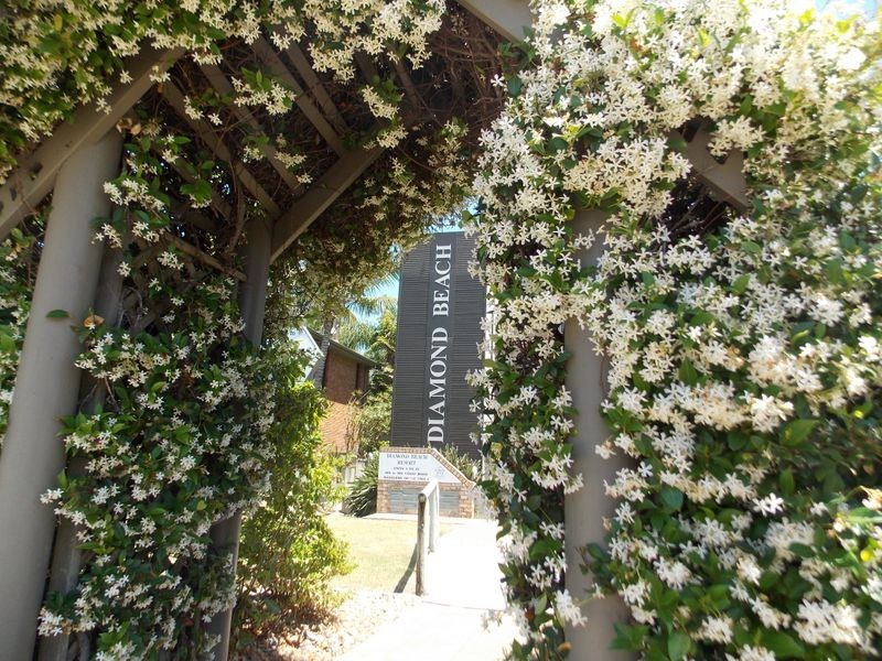 19/6-8 Hastings Road, Cabarita Beach NSW 2488