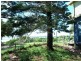 12 Coast Road, Hastings Point NSW 2489