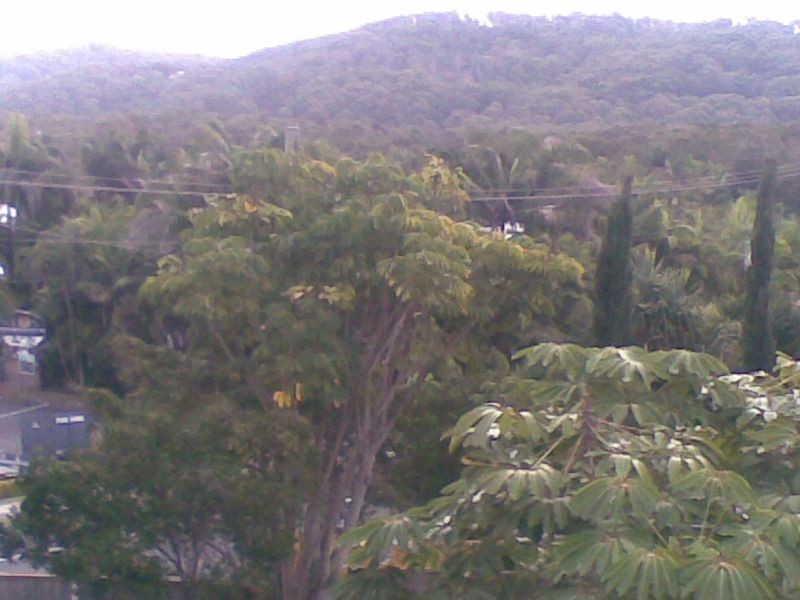 3/8 Tweed Coast Road, Hastings Point NSW 2489