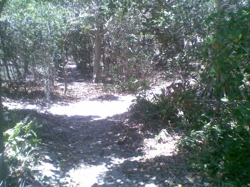 3/8 Tweed Coast Road, Hastings Point NSW 2489