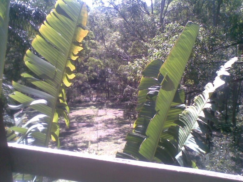 Lot 10 Tanglewood Drive, Tanglewood NSW 2488