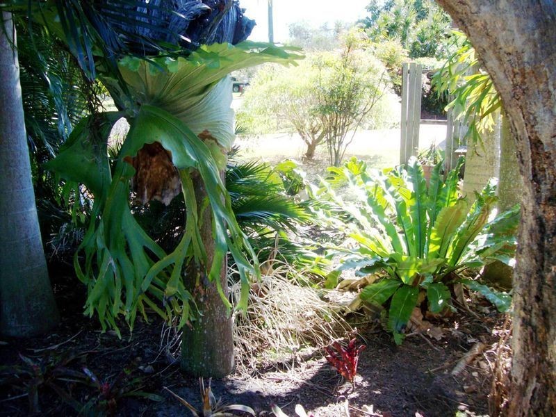 9 Kurrajong Avenue, Cabarita Beach NSW 2488