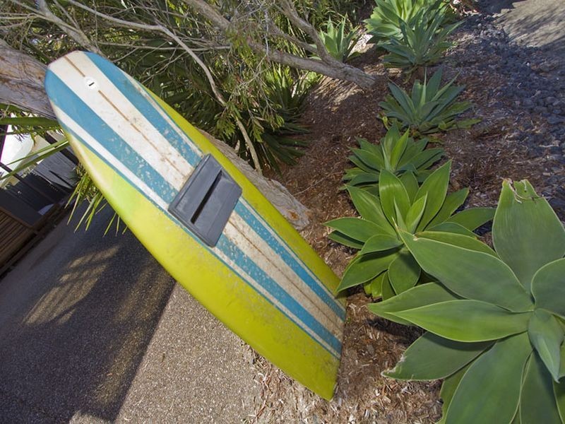 13 Steelwood Lane, Casuarina NSW 2487