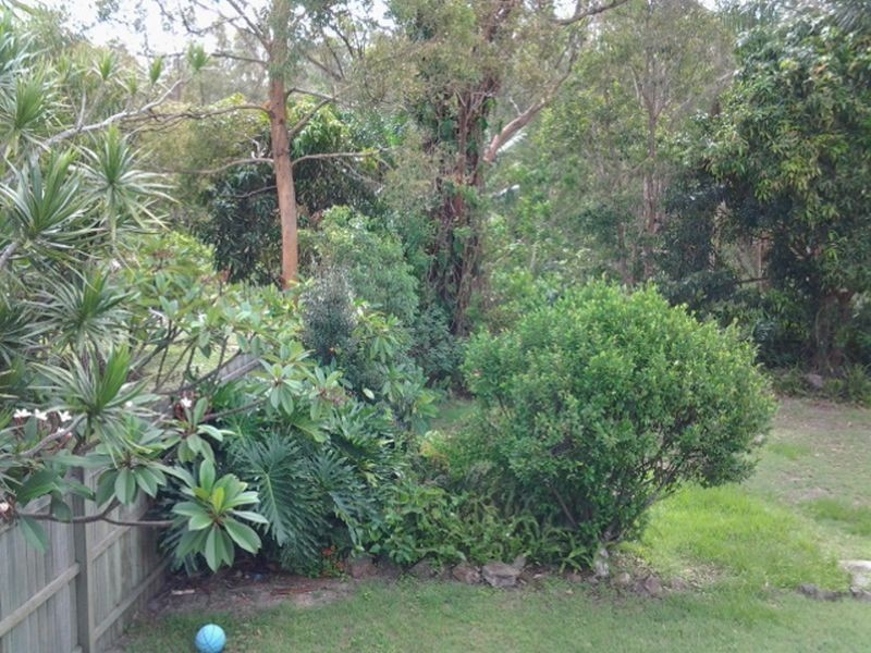 6 Kurrajong Avenue, Cabarita Beach NSW 2488