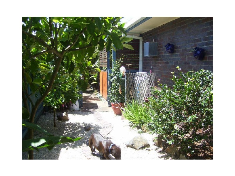 2 Poinciana Avenue, Cabarita Beach NSW 2488