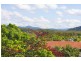 8 Tweed Coast Road, Hastings Point NSW 2489