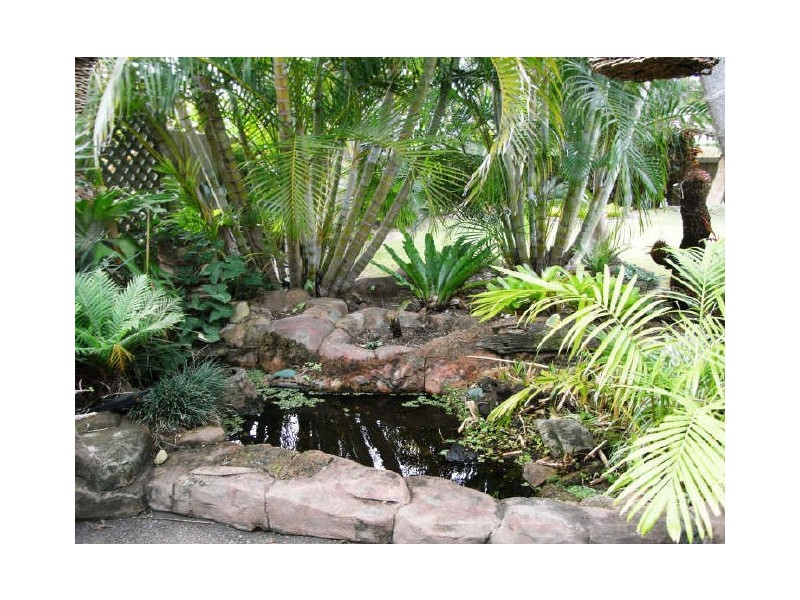 Cabarita Beach NSW 2488