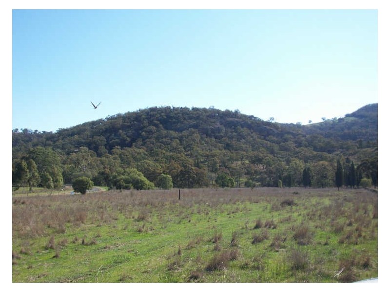 Clifton Hill Estate, Scone NSW 2337