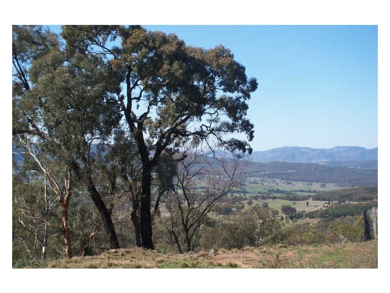 Clifton Hill Estate, Scone NSW 2337