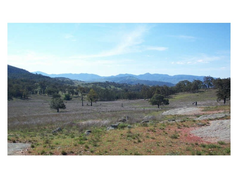 Clifton Hill Estate, Scone NSW 2337