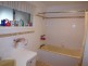 Scone NSW 2337