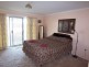 Scone NSW 2337