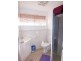 Scone NSW 2337