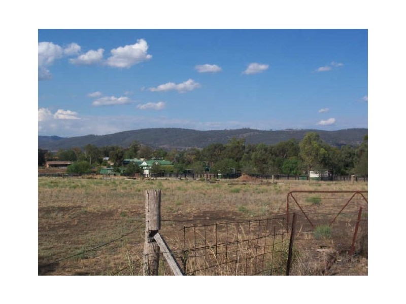 Scone NSW 2337