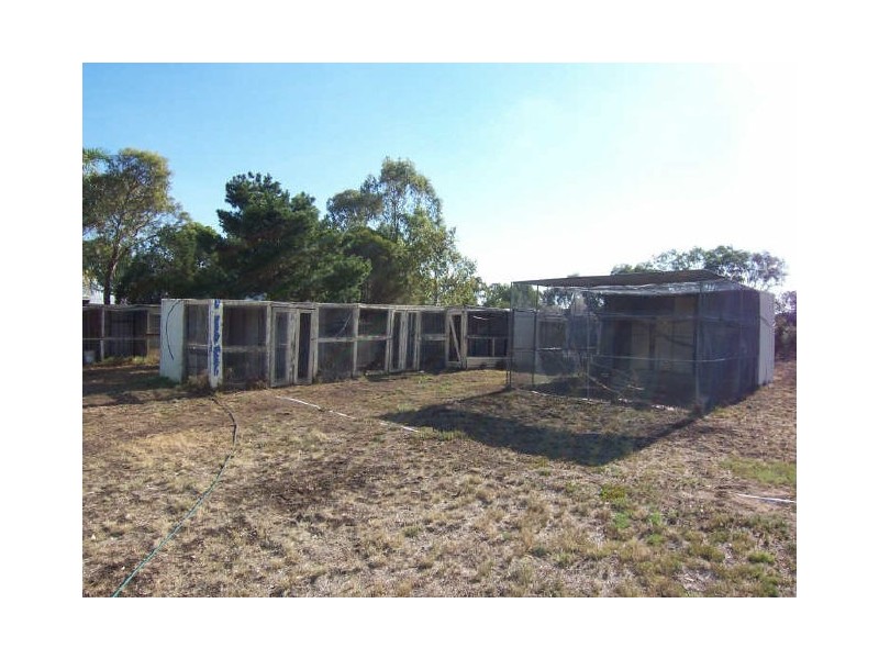 Scone NSW 2337