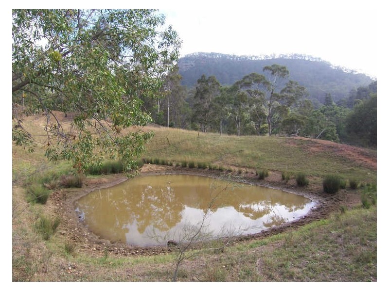 Lot 755 Halls Lane, Dartbrook NSW 2336