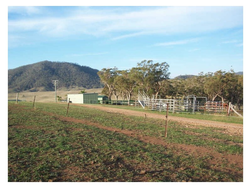119 Dolahenty Road, Mccullys Gap NSW 2333
