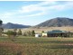 119 Dolahenty Road, Mccullys Gap NSW 2333