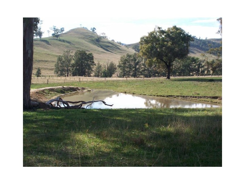 129 Beggary Creek Road, Muscle Creek NSW 2333