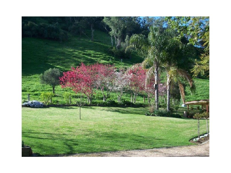 1655 Gundy Road, Gundy NSW 2337