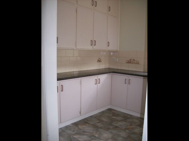 3 Nardoo Close, Muswellbrook NSW 2333