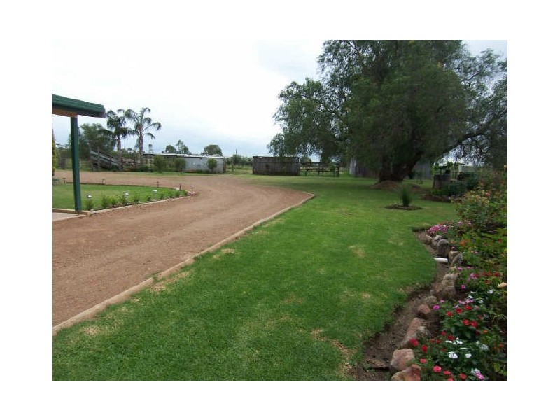 50 Merriwa Road, Denman NSW 2328