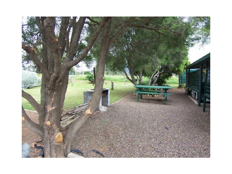 50 Merriwa Road, Denman NSW 2328