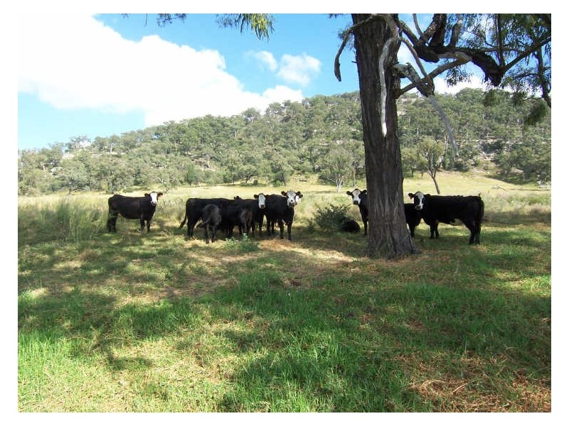 Lot 188 Powers Road, Wybong NSW 2333