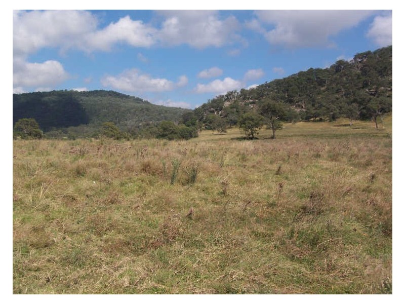 Lot 188 Powers Road, Wybong NSW 2333