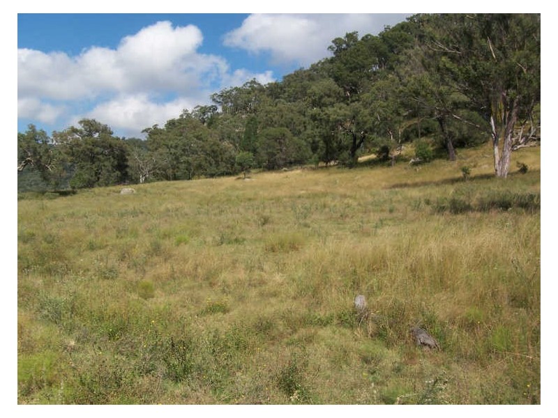 Lot 188 Powers Road, Wybong NSW 2333