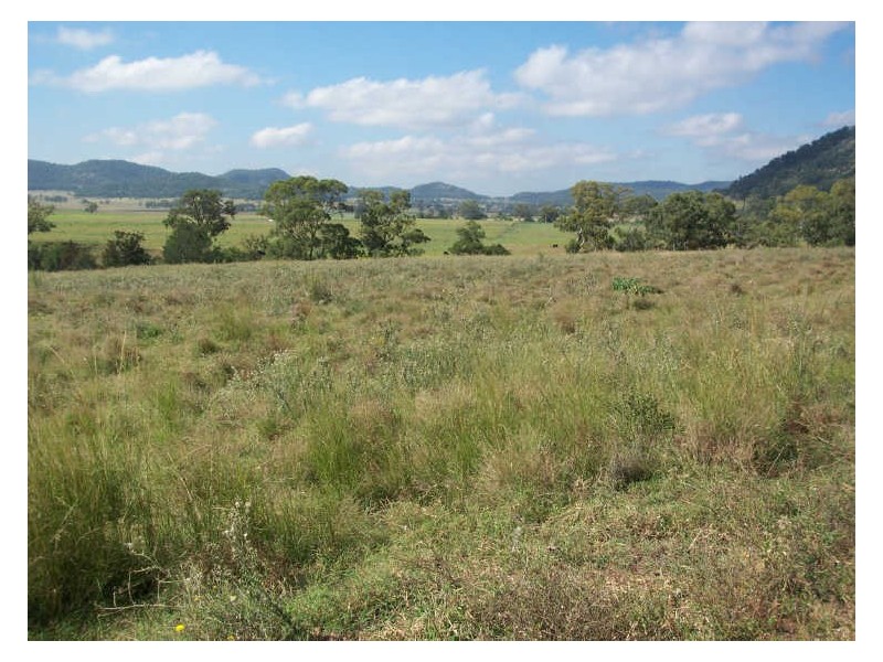 Lot 188 Powers Road, Wybong NSW 2333